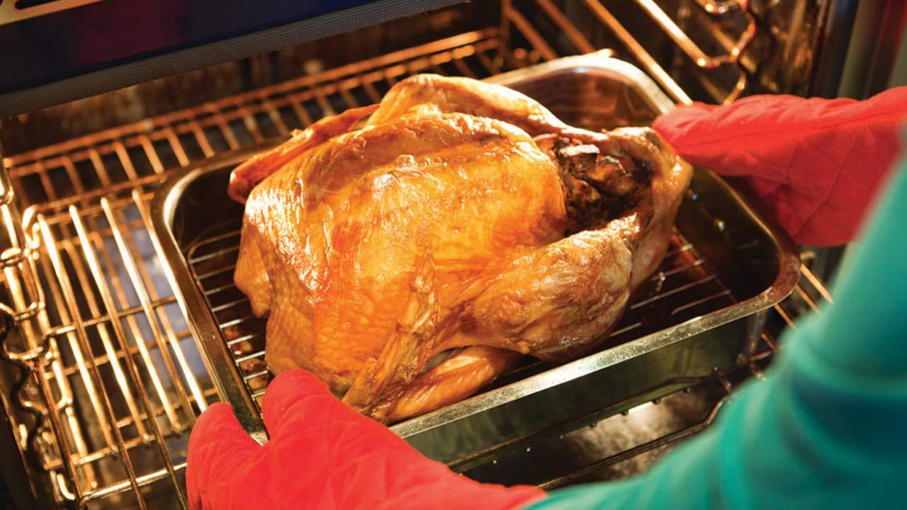 Turkey tip 