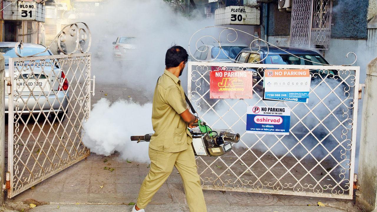 Mumbai: Getting 5-6 cases of dengue every week, say experts
