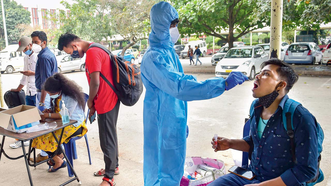 A health worker collects a swab sample in Bengaluru on Friday. Pics/PTI