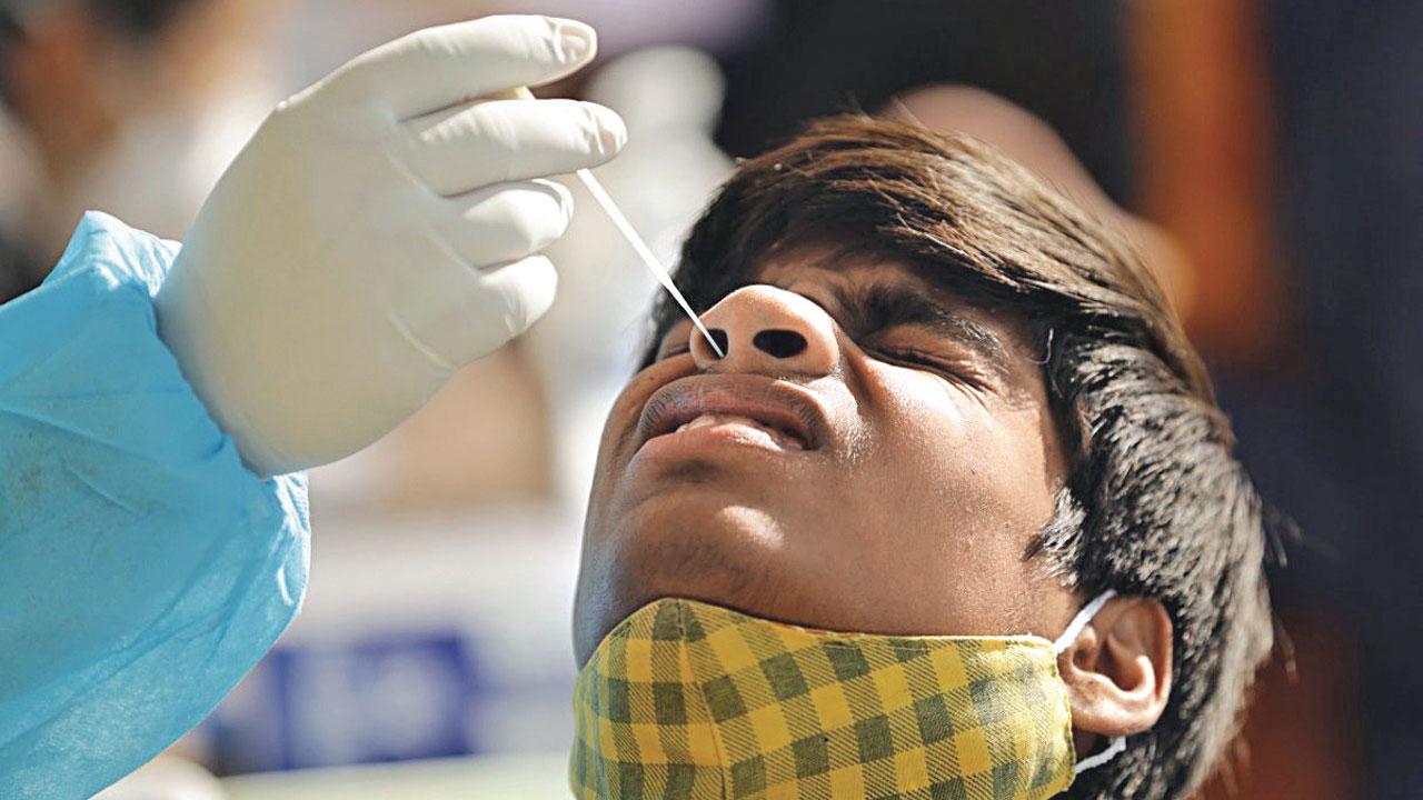 A young man’s swab sample being collected, in Jammu on Friday. Pic/ANI