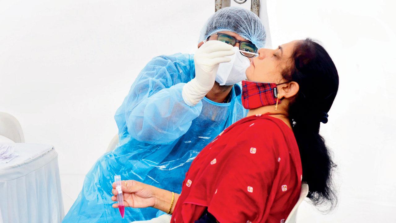 Mumbai scores its fifth duck, TPR drops to .66 per cent