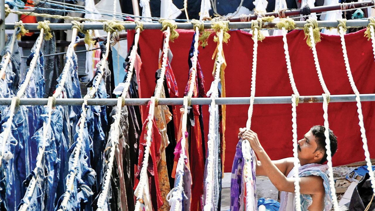 Mumbai Diary: Wednesday Dossier