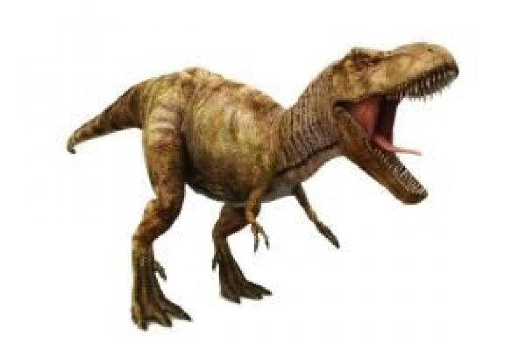 Dinosaur embryo found inside fossilised egg in China