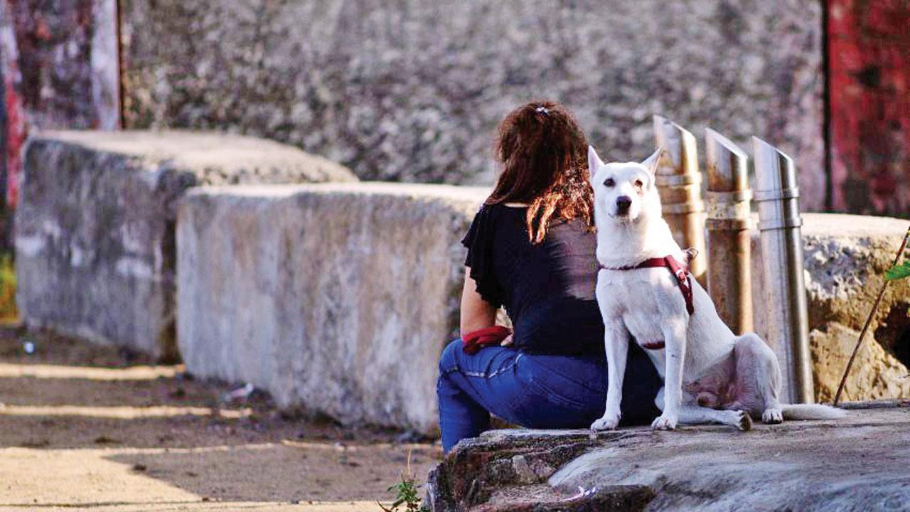 Mumbai Diary: Monday Dossier