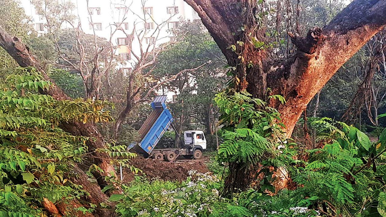 Dumping of debris has started again at IIT-B campus, say environmentalists