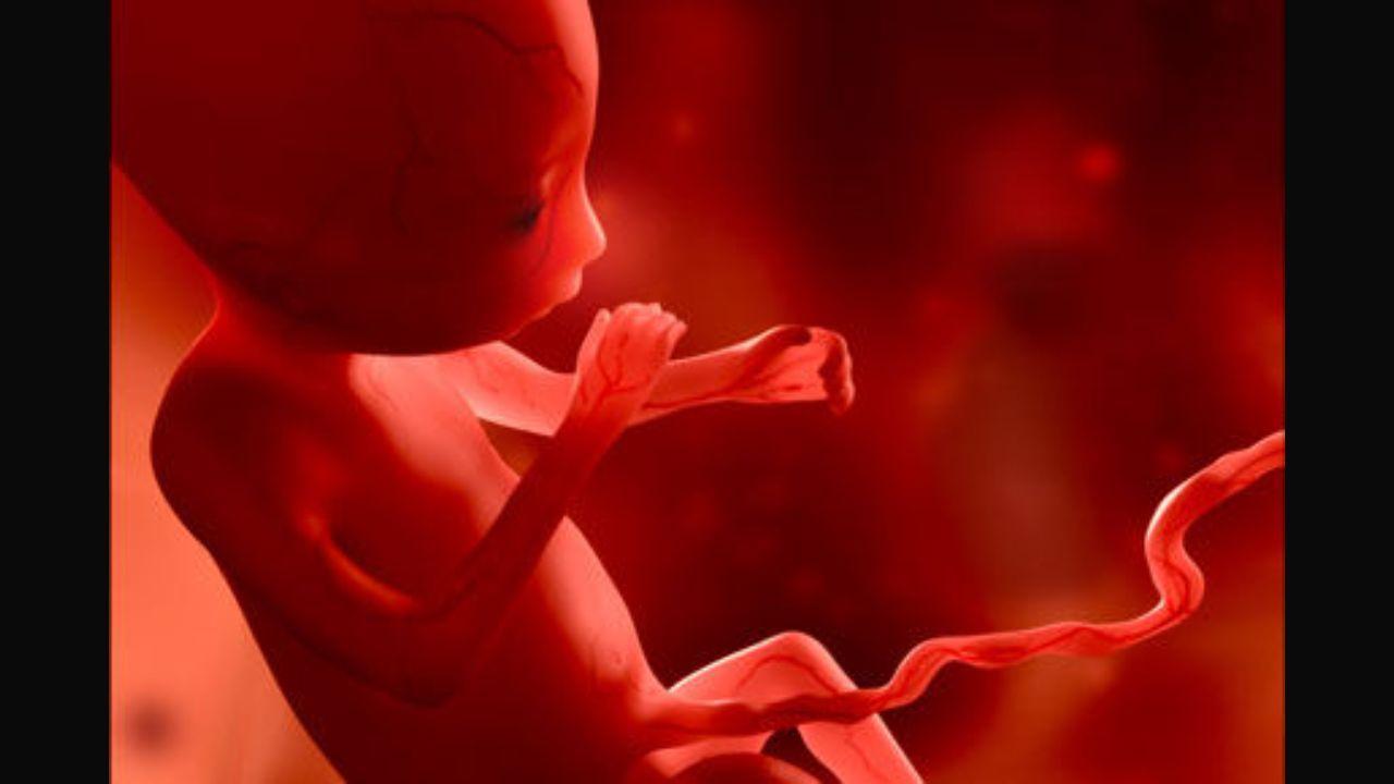 Woman carries foetus inside liver in 'exceptionally rare' ectopic pregnancy case
