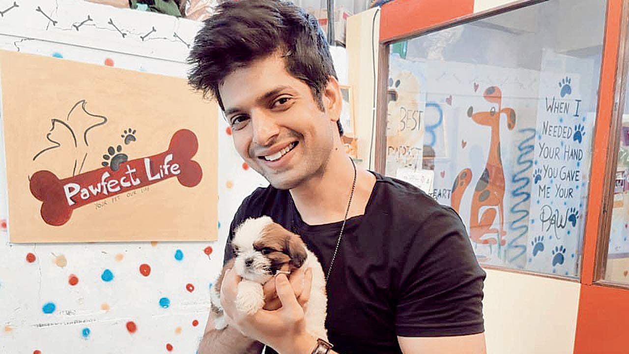  Hitesh Bharadwaj 