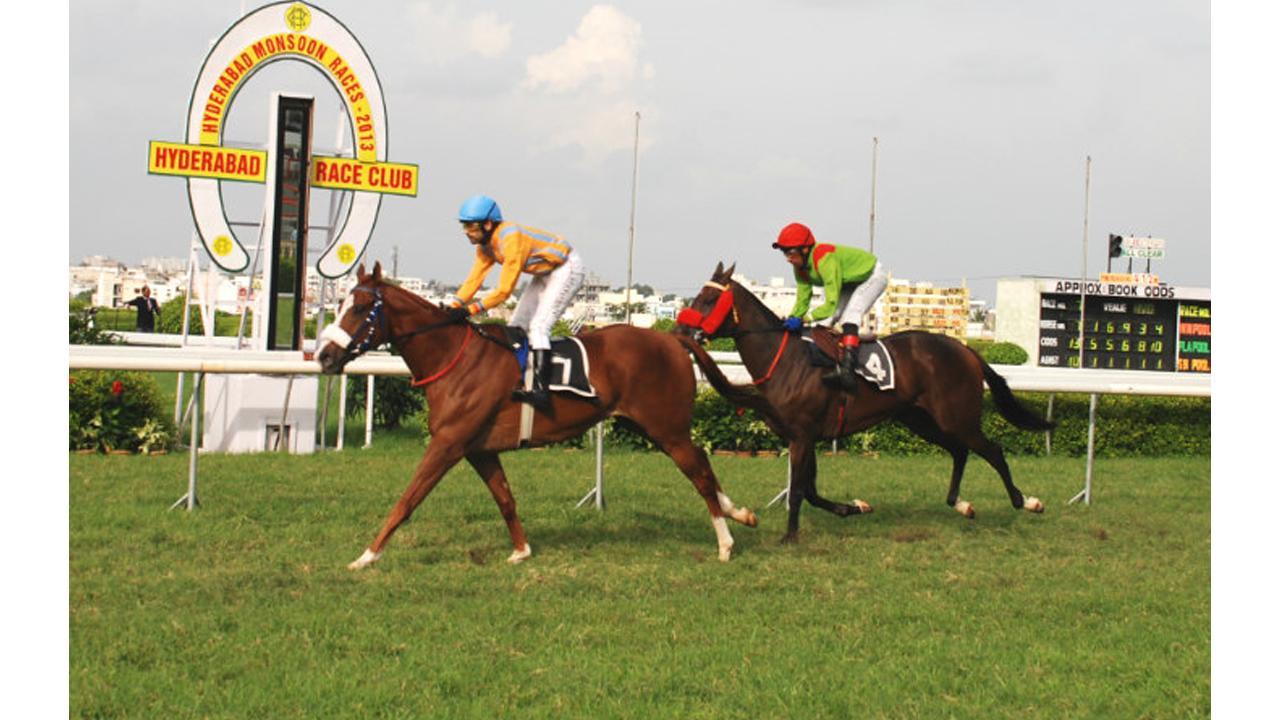 horse race betting in pune definition