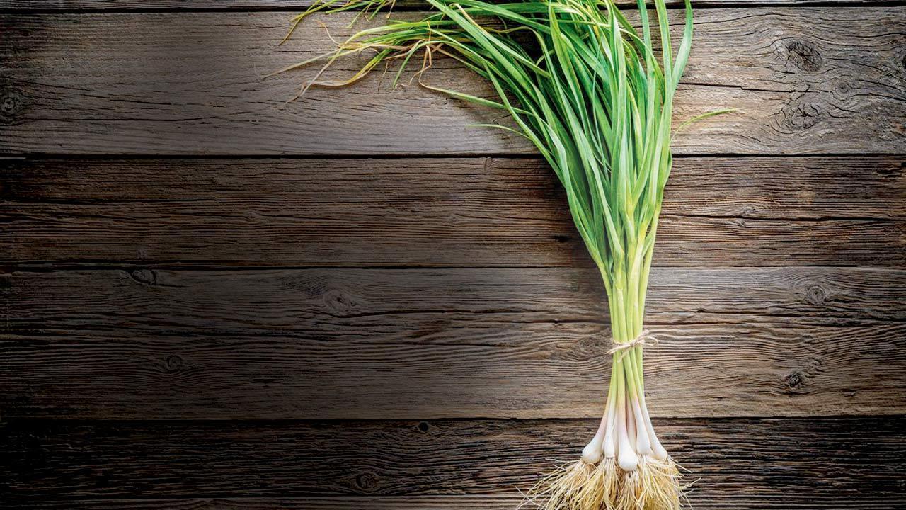Three home chefs share how green garlic can be used this season
