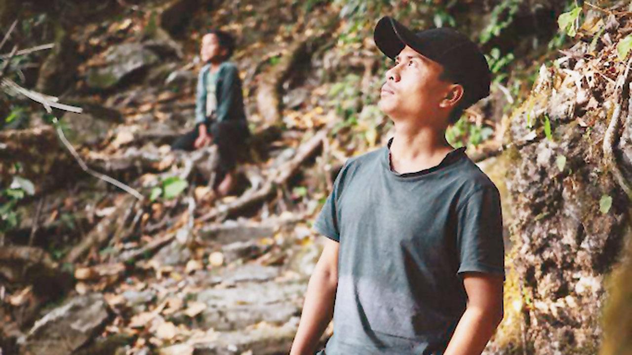 Morningstar is the youngest conservationist working to save living root bridges, a man-made wonder created by ingenious members of the tribe who guide the tangled roots of the local Ficus Elastica tree, which are then entwined around bamboos