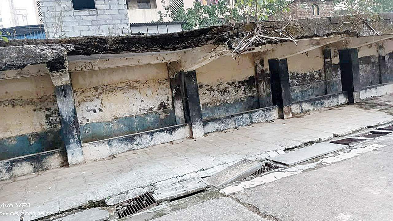 Malad cattle pound to be revamped for Rs 10 crore