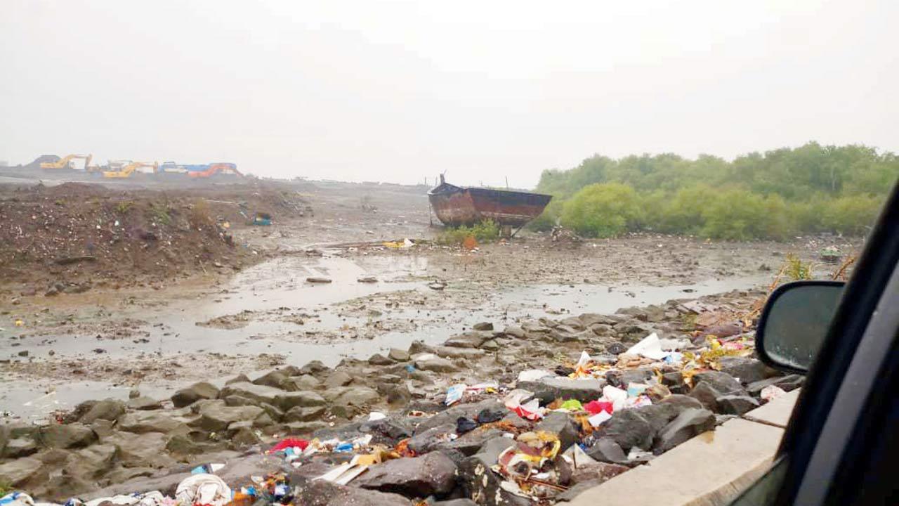 Mangrove destruction still on at Karanja Jetty