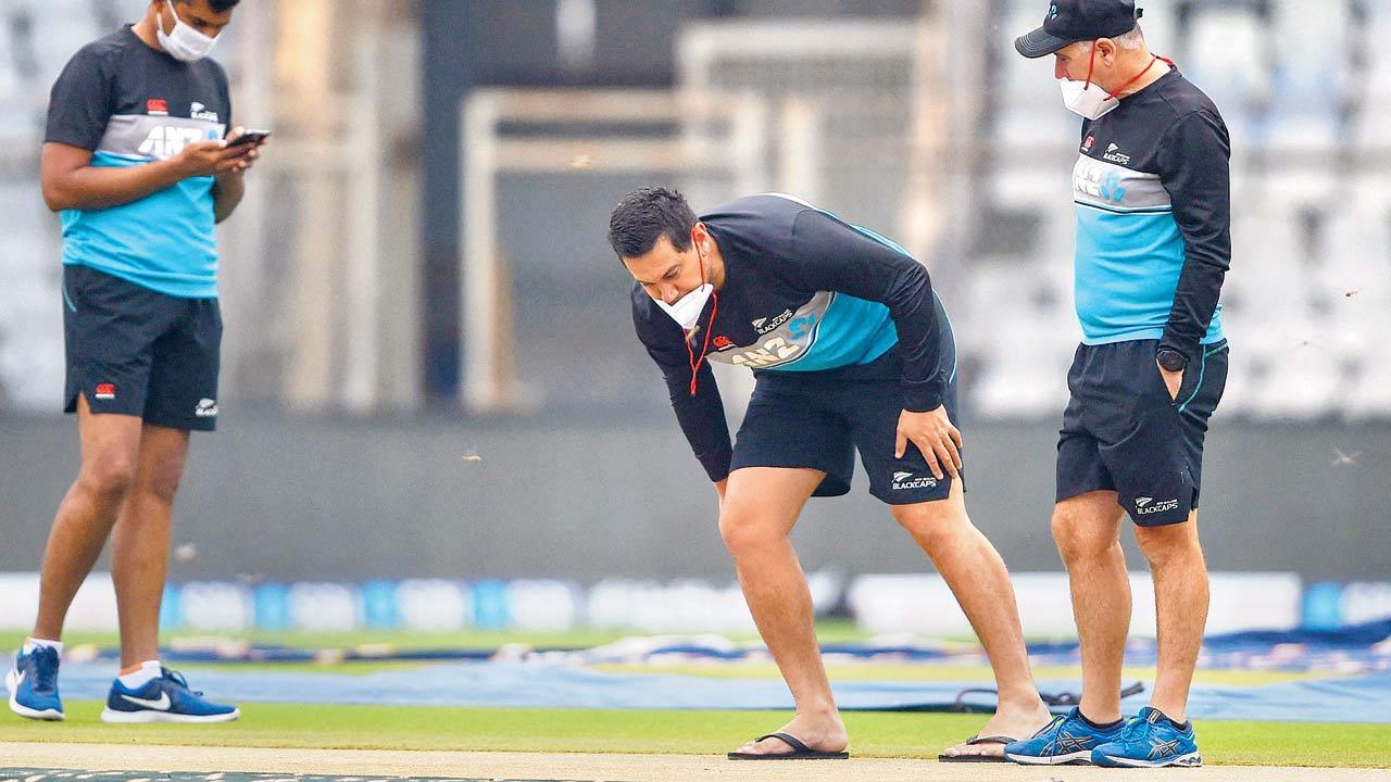 Rain respite brings relief to groundsmen