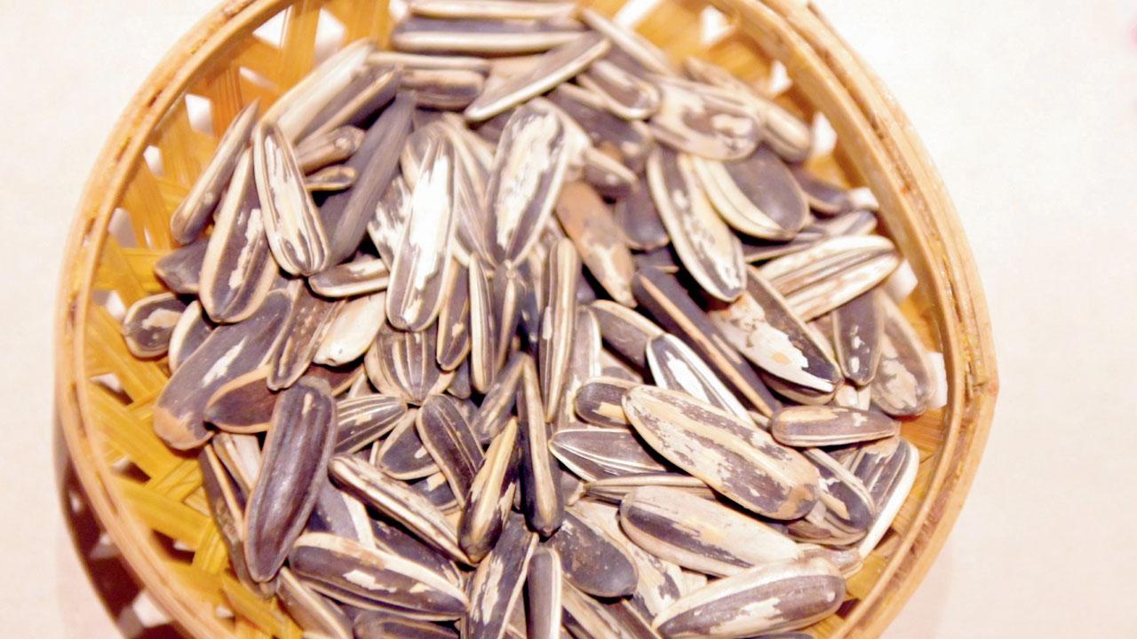 Sunflower seeds