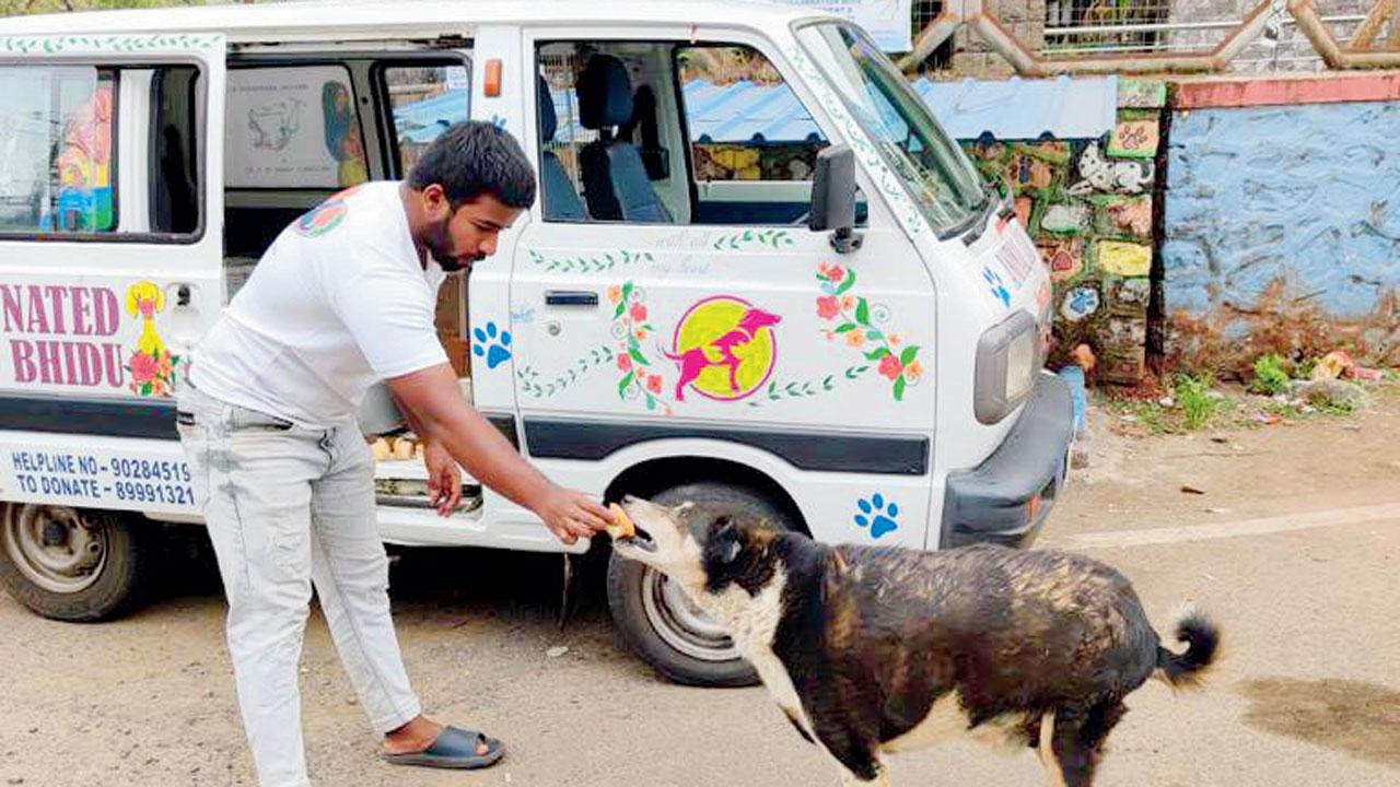 Spare A Moment takes care of strays in Lonavala