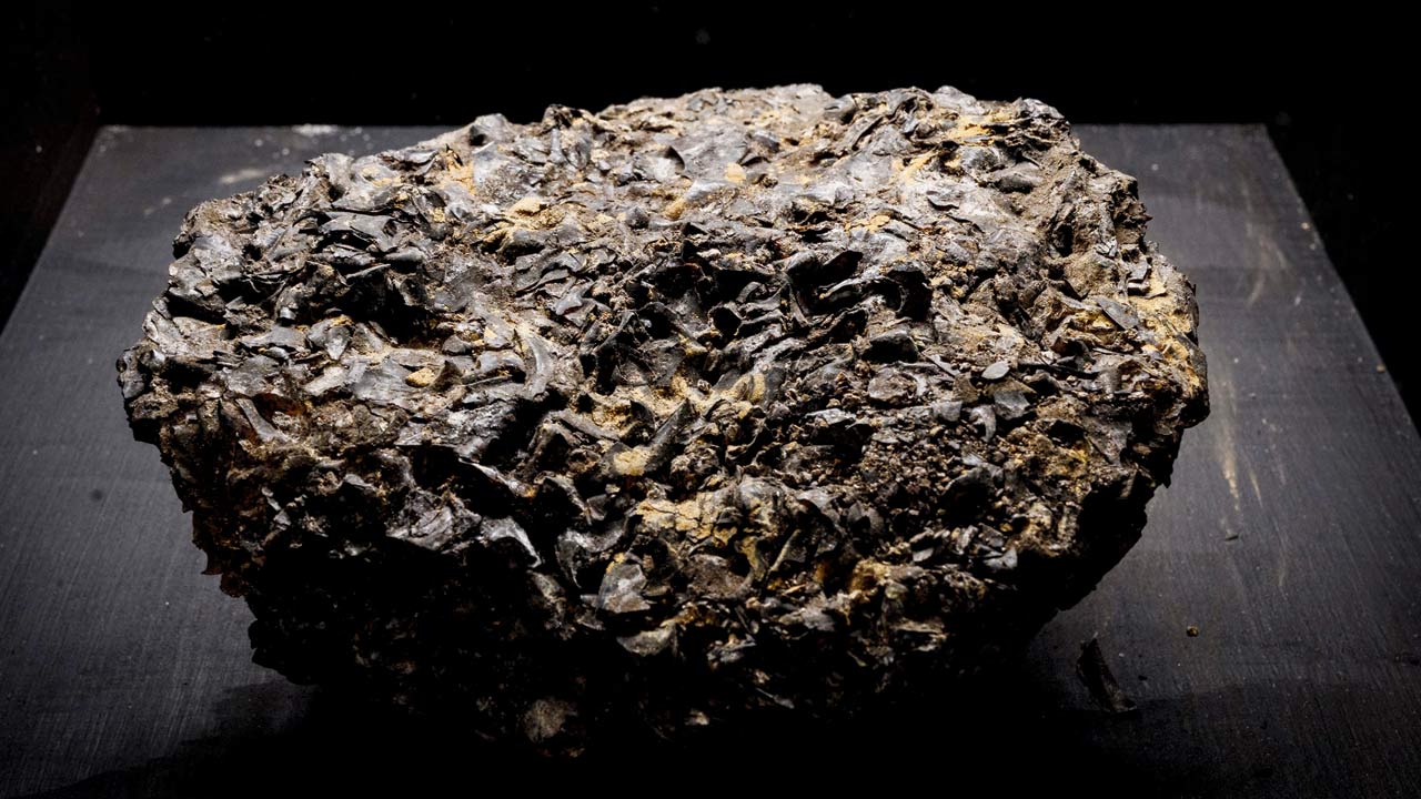 A chunk of ambergris is seen among exhibits during a press preview of the “London: Port City” exhibition at the Museum of London Docklands, on October 21, 2021. Ambergris, a dull grey waxy substance that’s created in the intestine of the Sperm Whale, is sought-after across the world since it is used as a fixative that stabilises the scent of perfumes to make them last longer, and in the manufacture of aphrodisiacs products