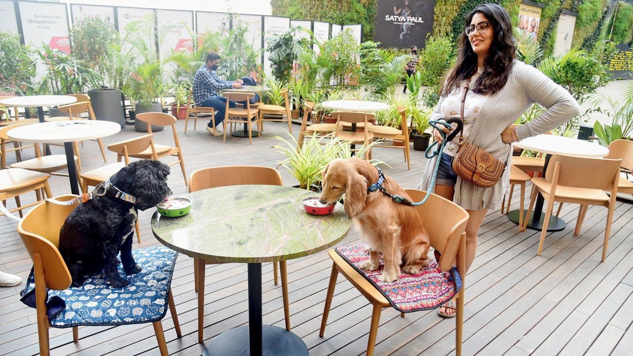 BKC's newest pet-friendly cafe serves wholesome meals