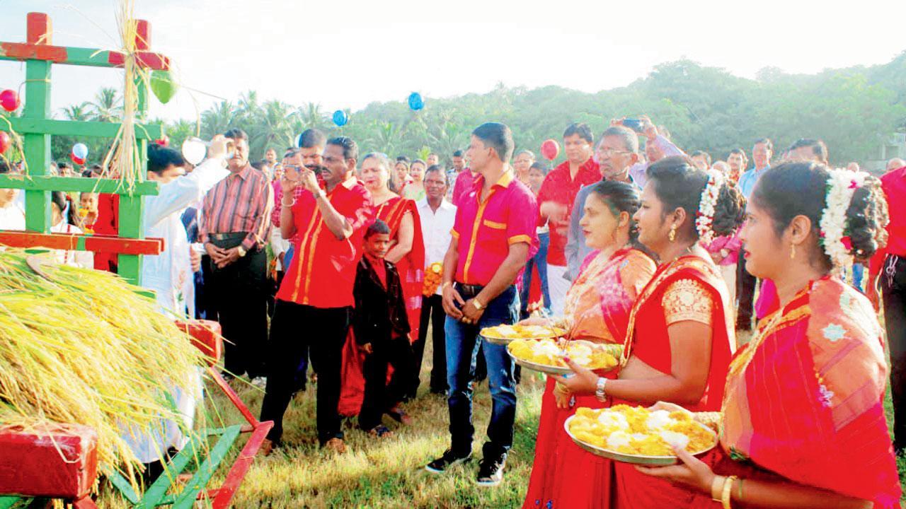 East Indians get green Christmas gift this year, a community-themed project in Juhu