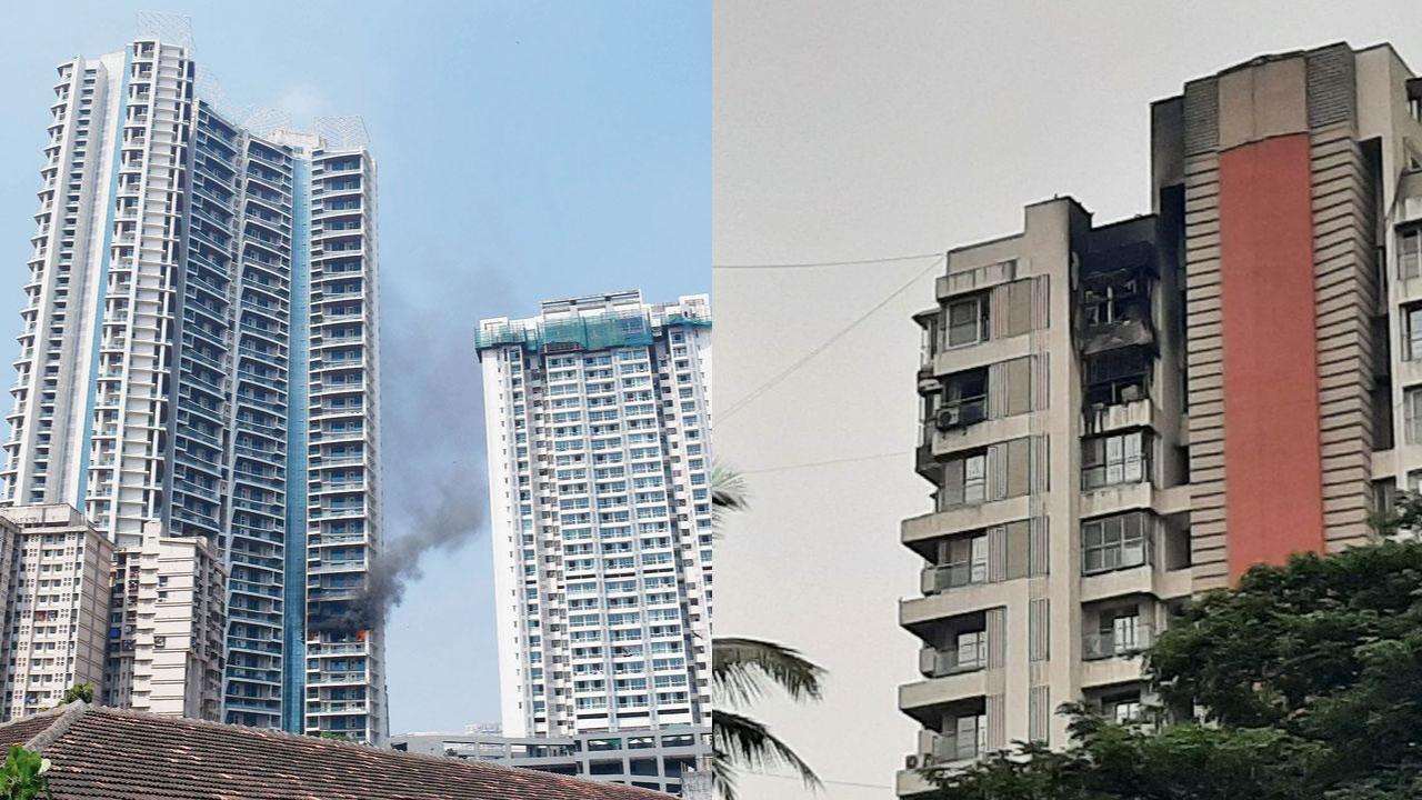 5. High-rise fires: Two people were killed in a major fire outbreak in a 15-storey residential building in suburban Kandivali (West) on November 17. The fire started in a flat on the 14th floor of Hansa Heritage building on Mathuradas Road. Fire brigade designated it as a level 1 fire. In another incident, a 30-year-old security guard fell to death from the balcony of a flat located on the 19th floor of a 61-storey residential building in central Mumbai after a major fire broke out there on October 22. The blaze erupted on the 19th floor of the One Avighna Park building on Currey Road shortly before noon. 
 