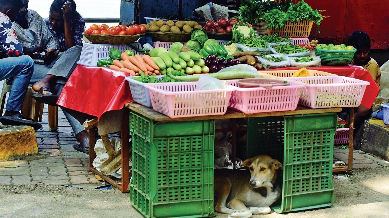 Mumbai Diary: Wednesday Dossier