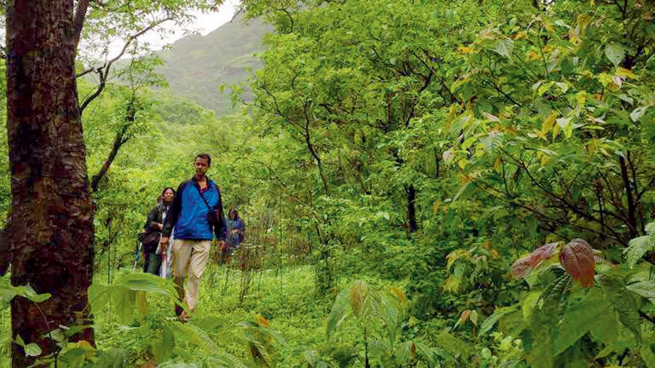 The app will guide visitors through three trails inside Karnala Bird Sanctuary