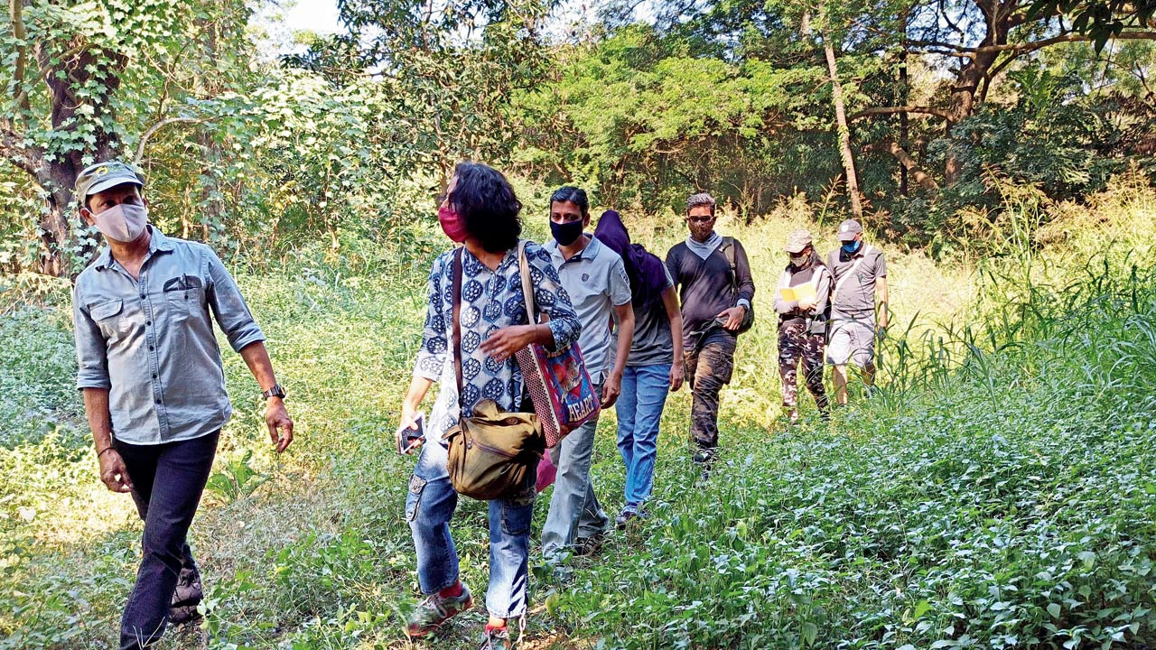 Aarey forest in safe and green hands