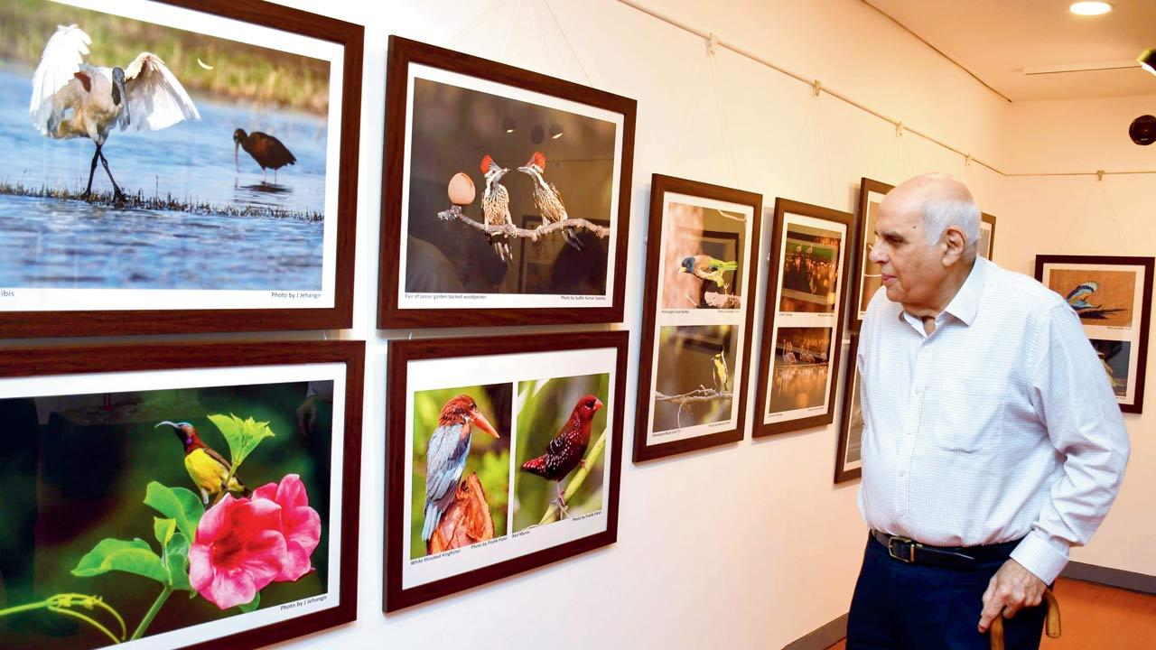 NCPA chairman KN Suntook at the exhibition in Piramal Art Gallery. Pic/Ashish Raje