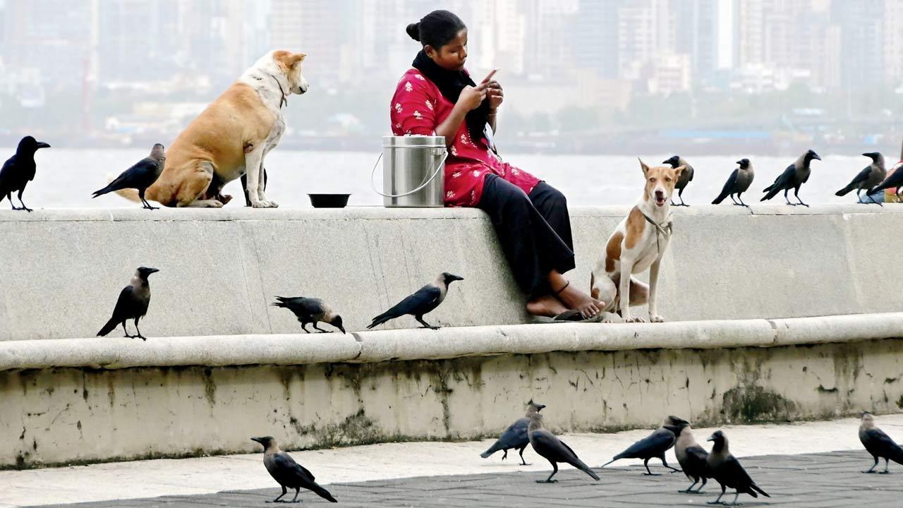 Mumbai Diary: Tuesday Dossier
