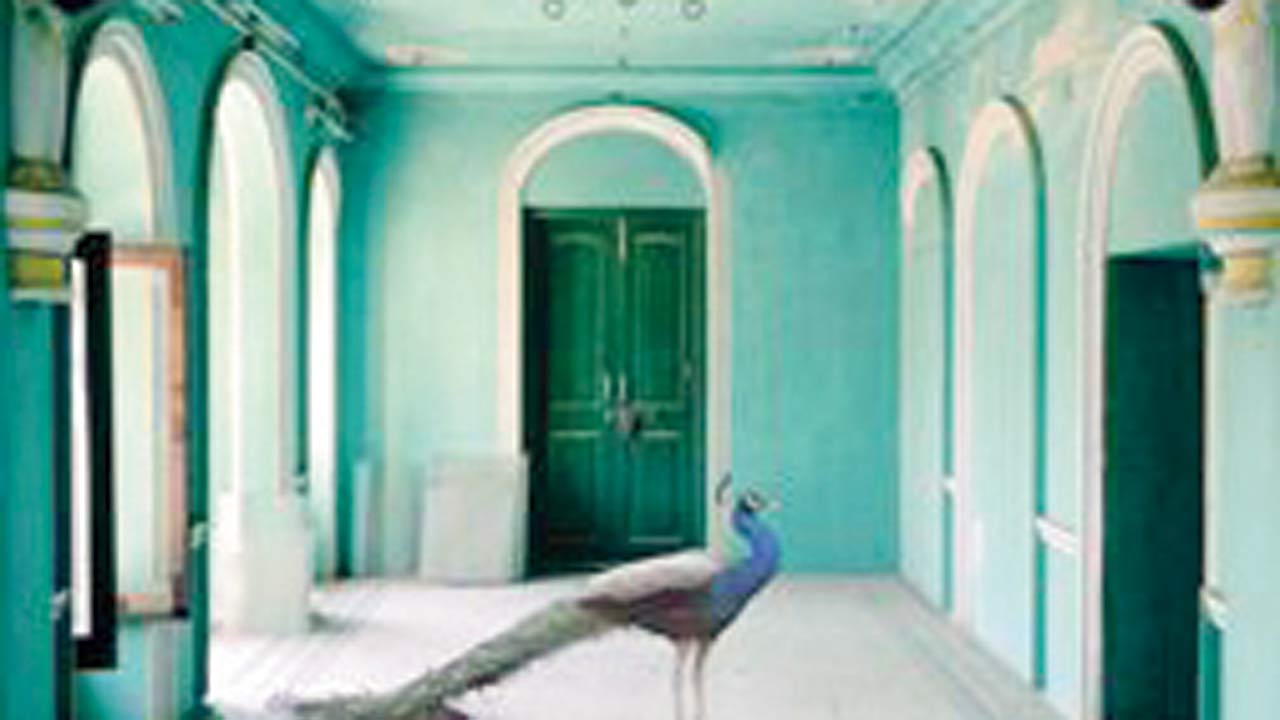  A photo by Karen Knorr that is part of the exhibition
