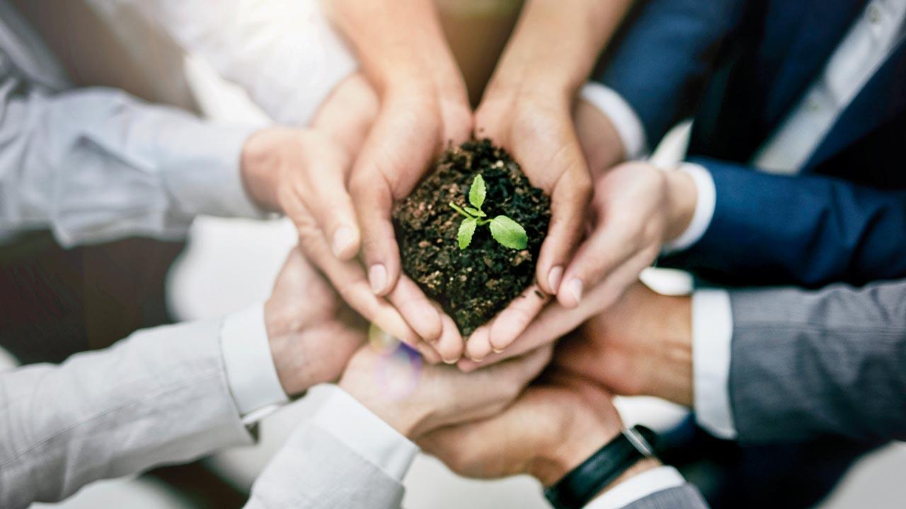 Nurturing the green economy