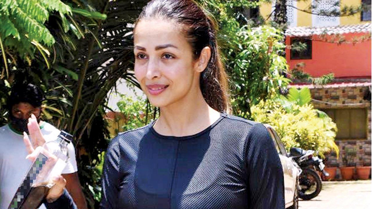 Unravelling Malaika Arora, Katrina Kaif, Jacqueline Fernandez and Alia Bhatt's food fads