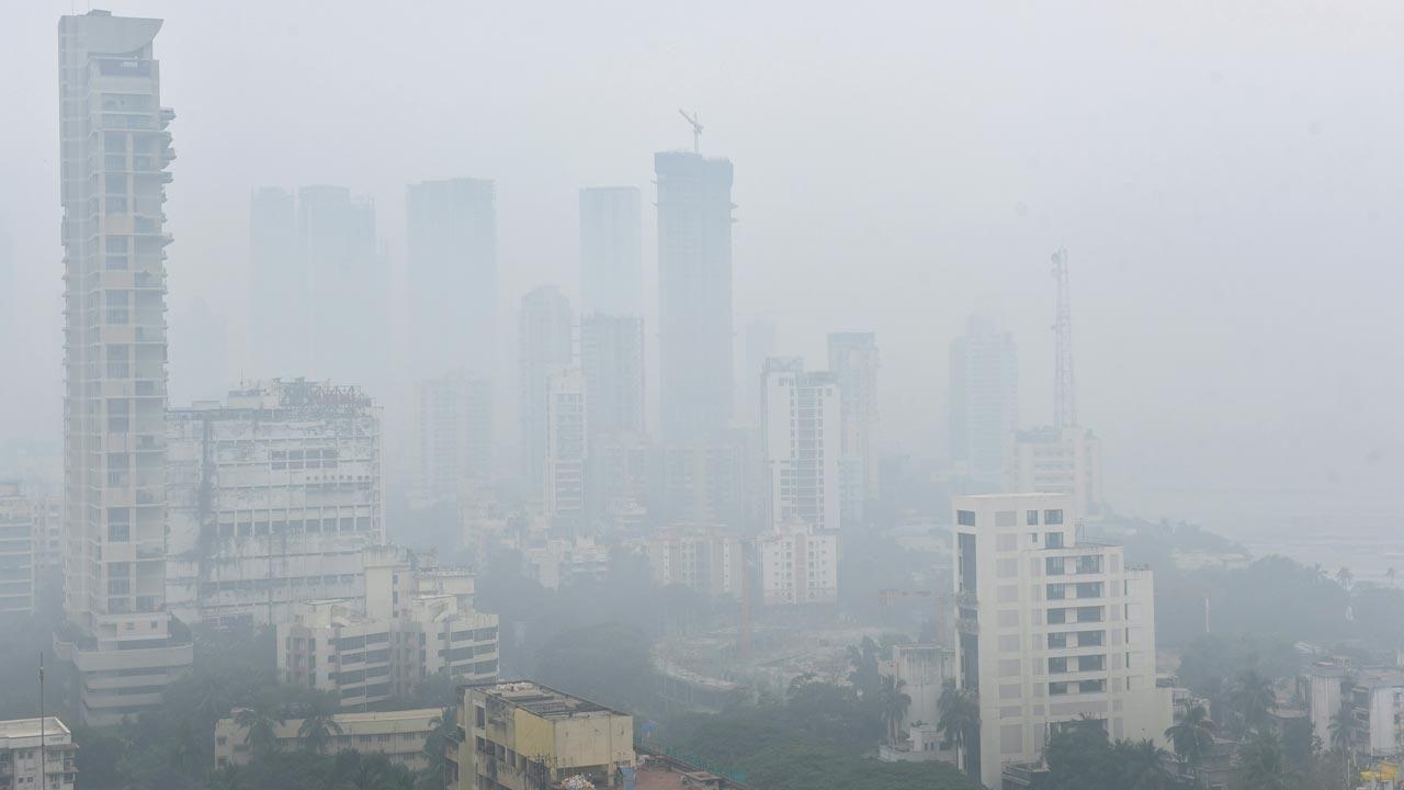 Air pollutants, weather conditions influence pollen concentration, says new study