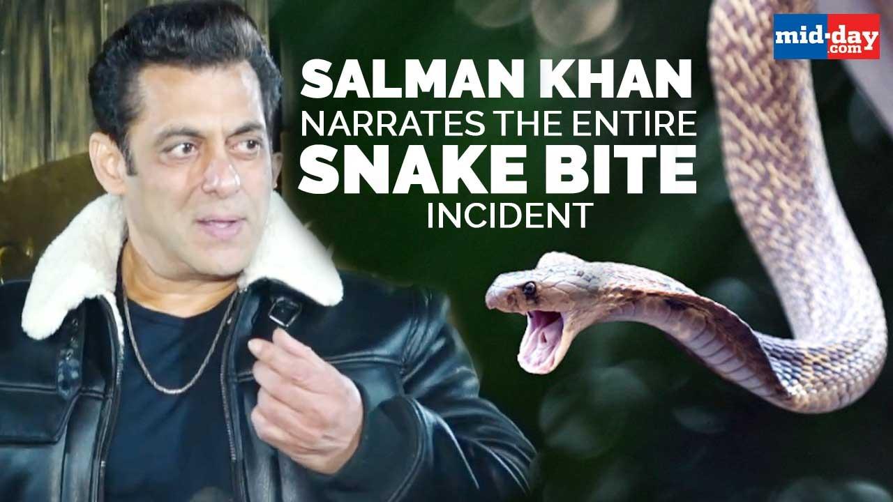 'Tiger Bhi Zinda Hai, Saanp Bhi Zinda Hai': Salman Opens Up About The Snake Bite