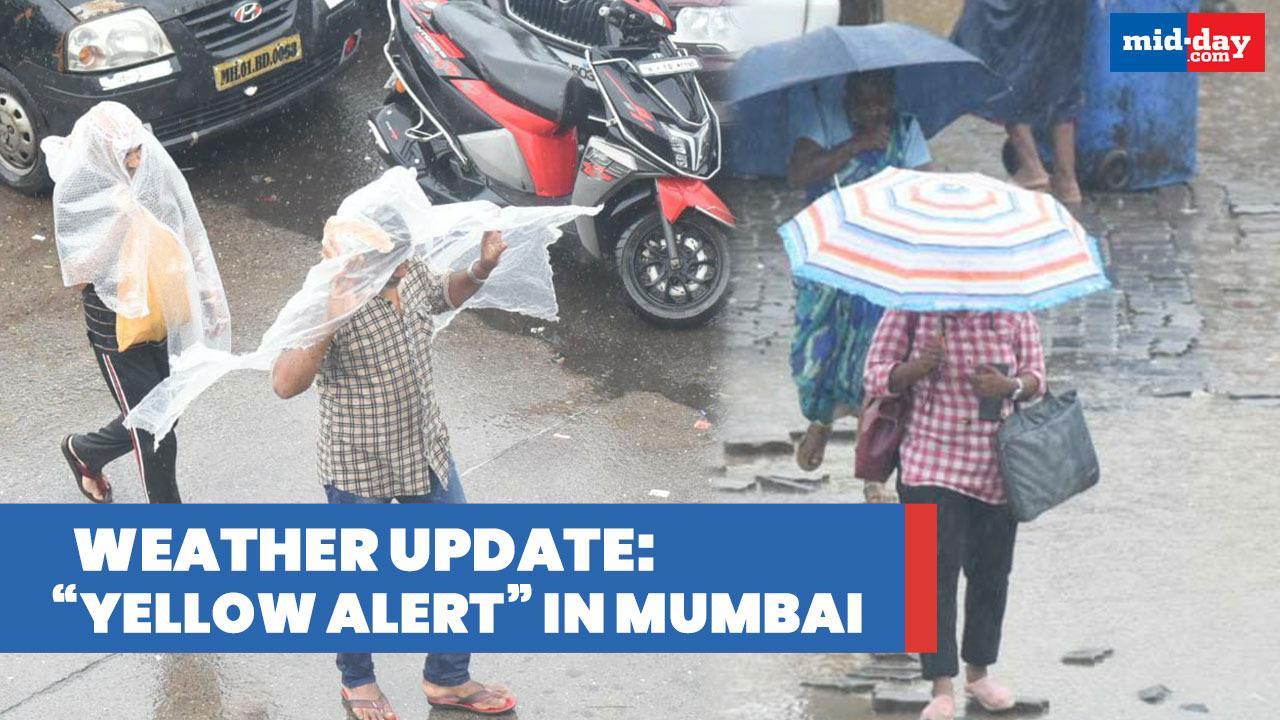 Weather update: Amid prediction of heavy rain, yellow alert issued in Mumbai