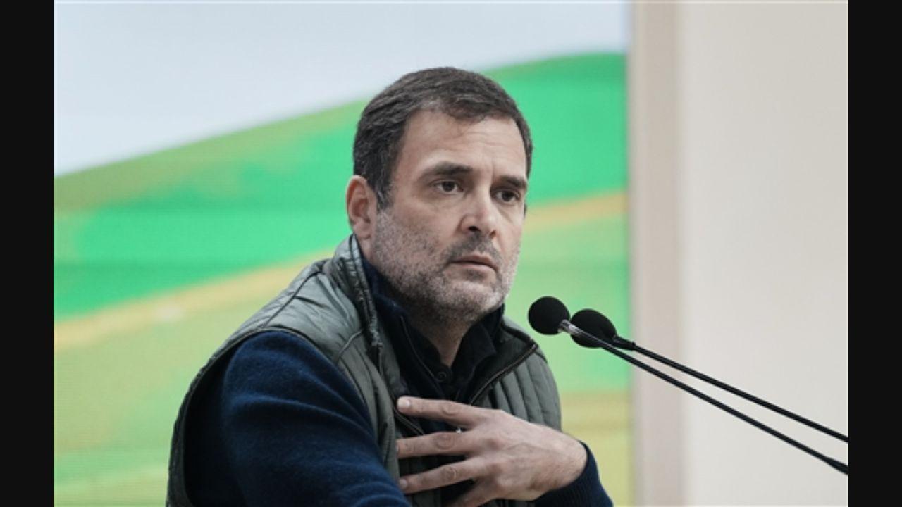 Rahul Gandhi accuses PM Modi of being 'insensitive' for not paying compensation to kin of deceased farmers