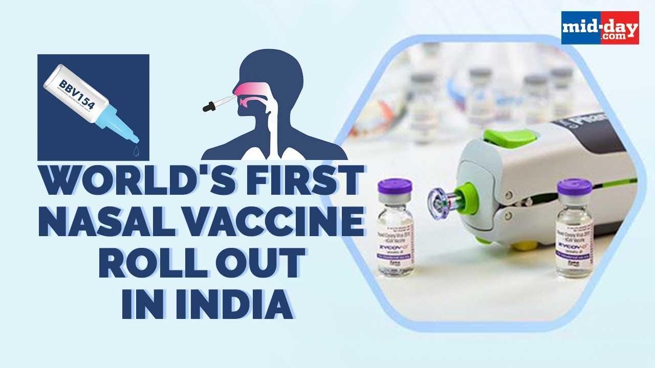 How Is World's First Nasal DNA Vaccine Different