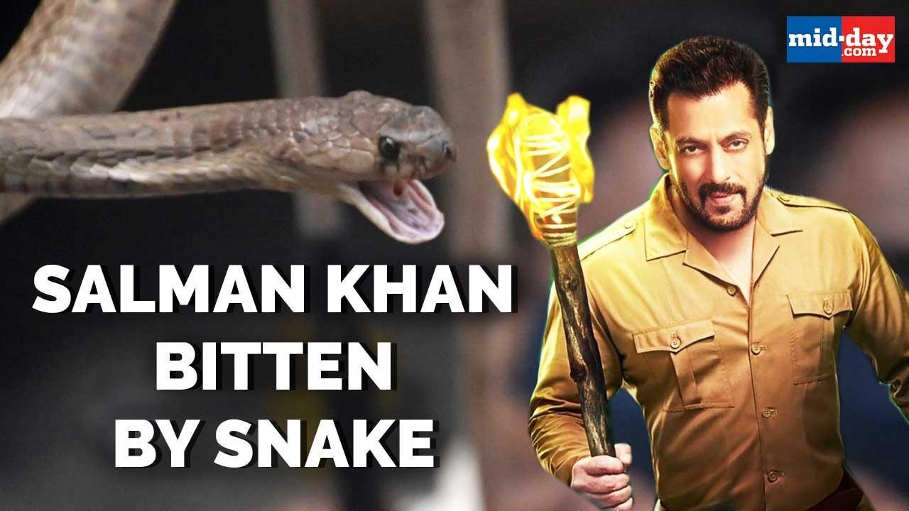 Salman Khan Gets Bitten By A Snake On His Birthday Eve