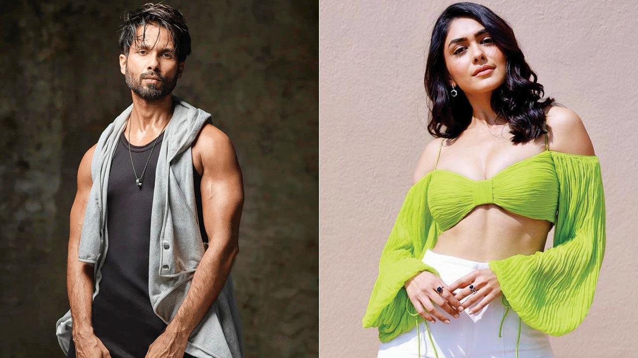 Shahid Kapoor and Mrunal Thakur