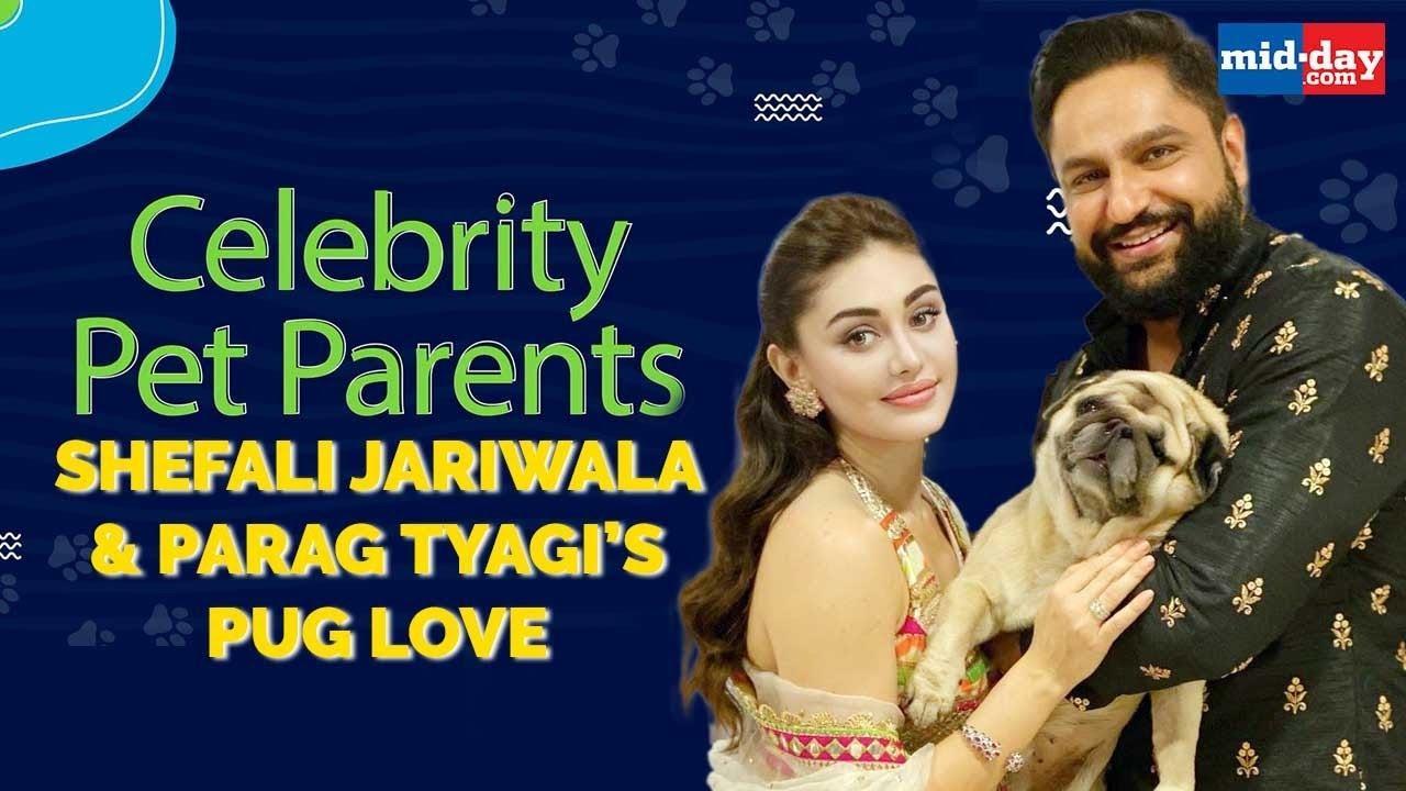 Shefali Jariwala & Parag Tyagi: Simba Chose Us | Celebrity Pet Parents
