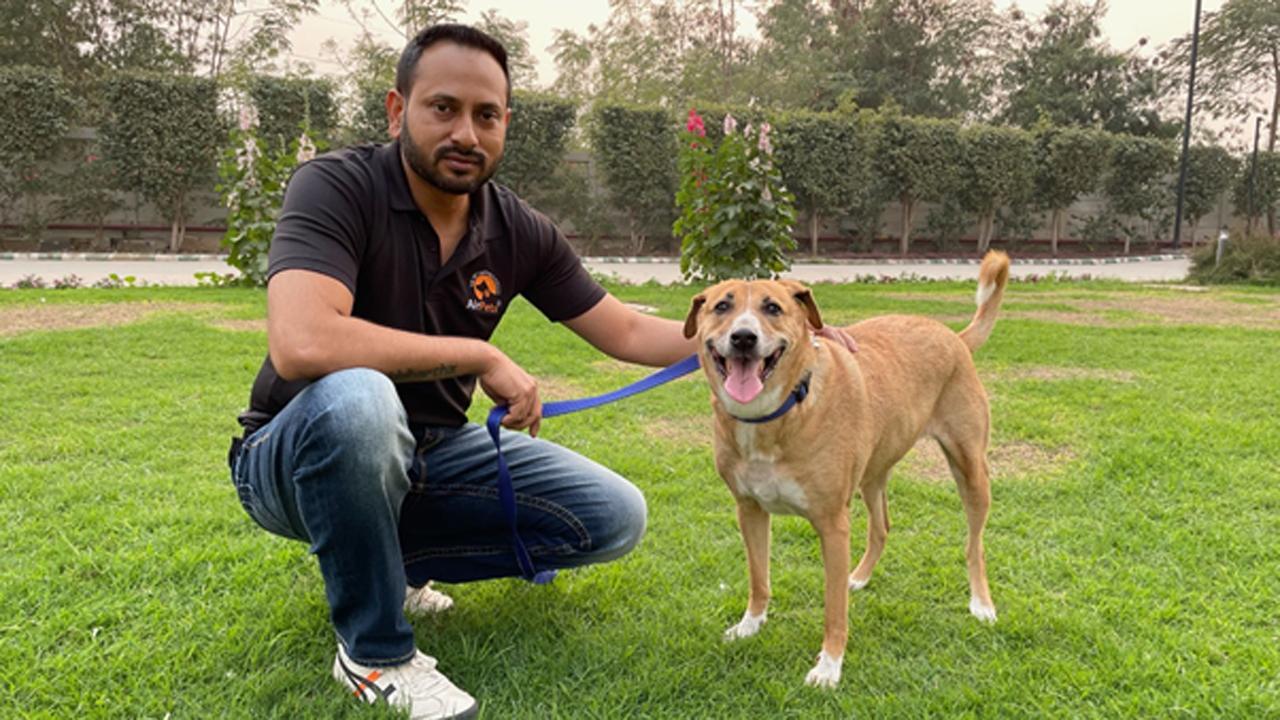 Airpets Relocating Your Beloved Pets Globally
