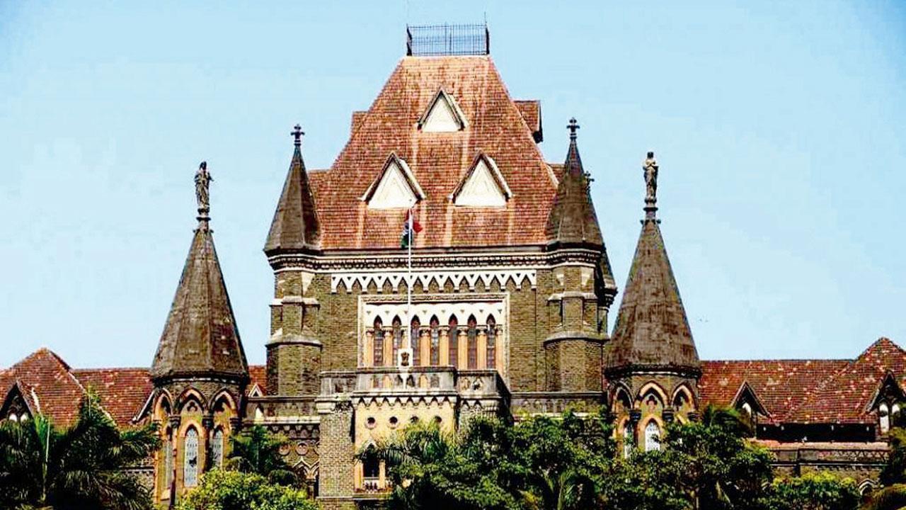 Bombay HC upholds bail to alleged ISIS member Areeb Majeed