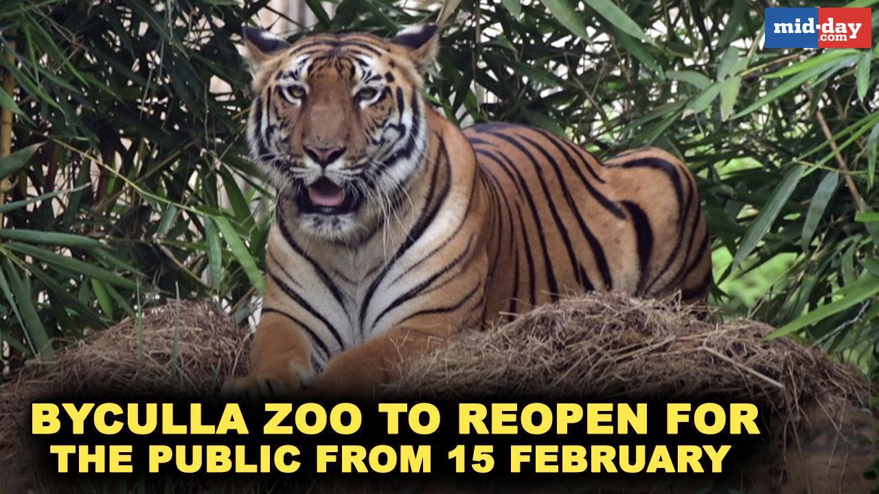 Byculla Zoo to reopen for the public from 15 February