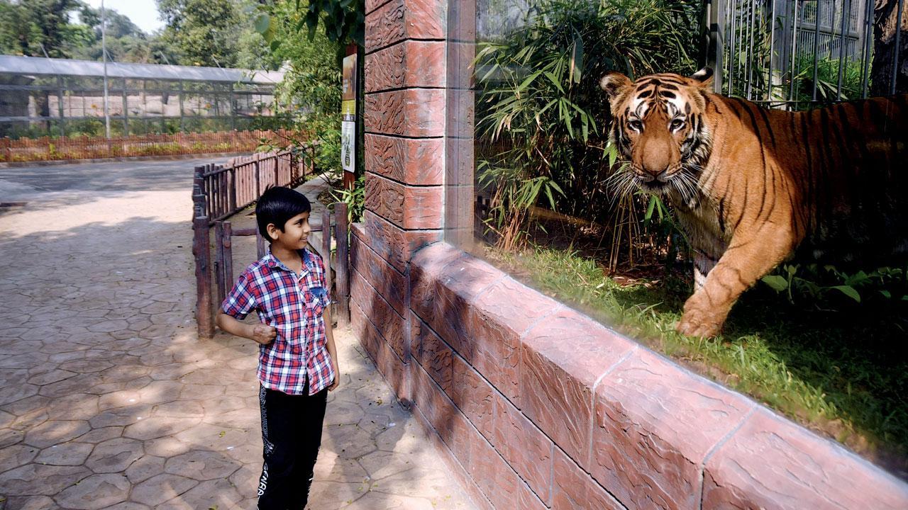 Mumbai: Byculla zoo may open, but aviary shut