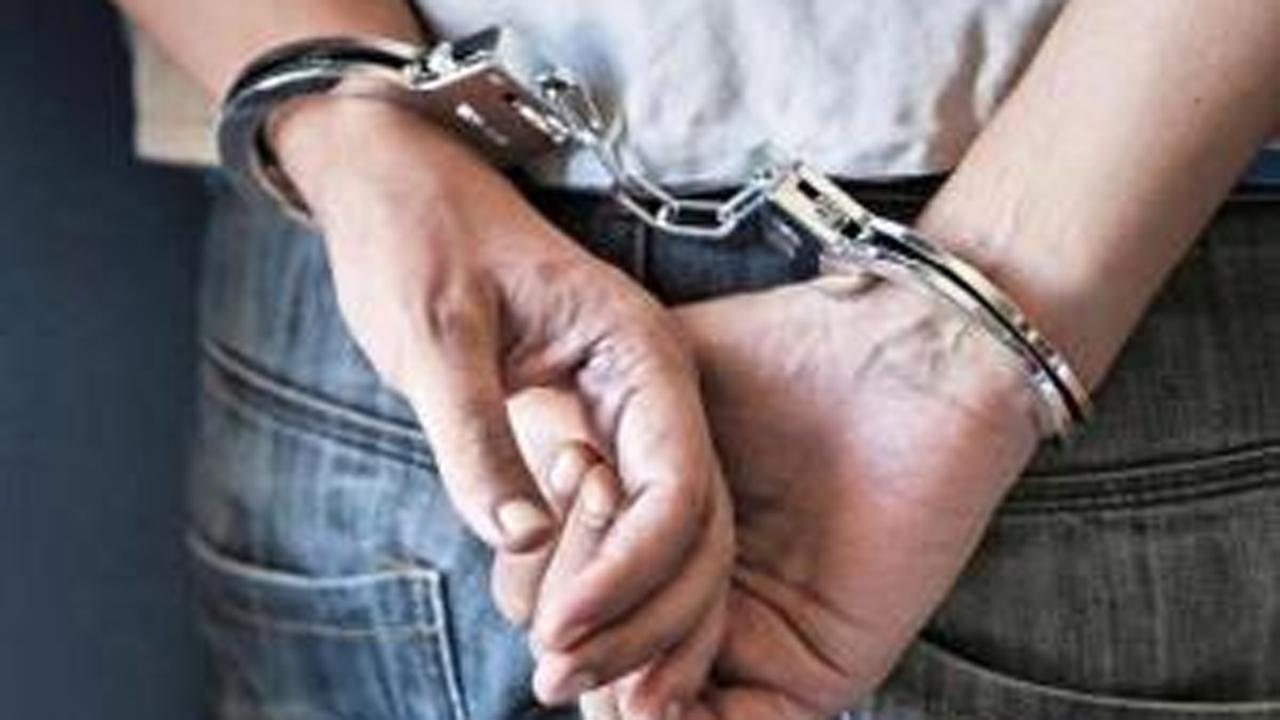 Indian held at Chicago airport with 3,200 viagra pills: Officials