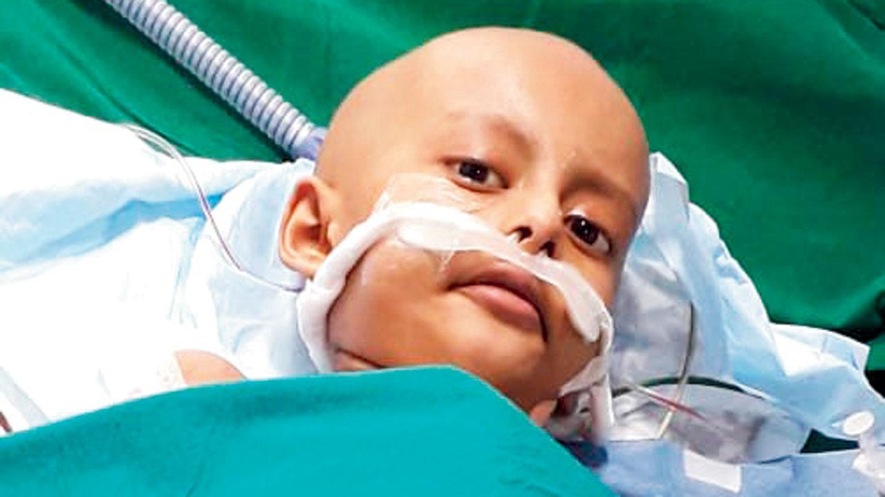 Five-year-old cancer survivor needs a heart to live
