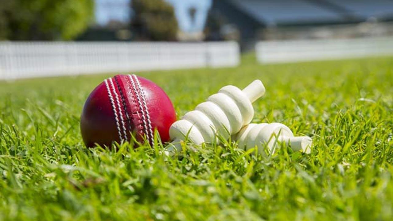 Syed Mushtaq Ali T20: Tamil Nadu beat Baroda to emerge champs