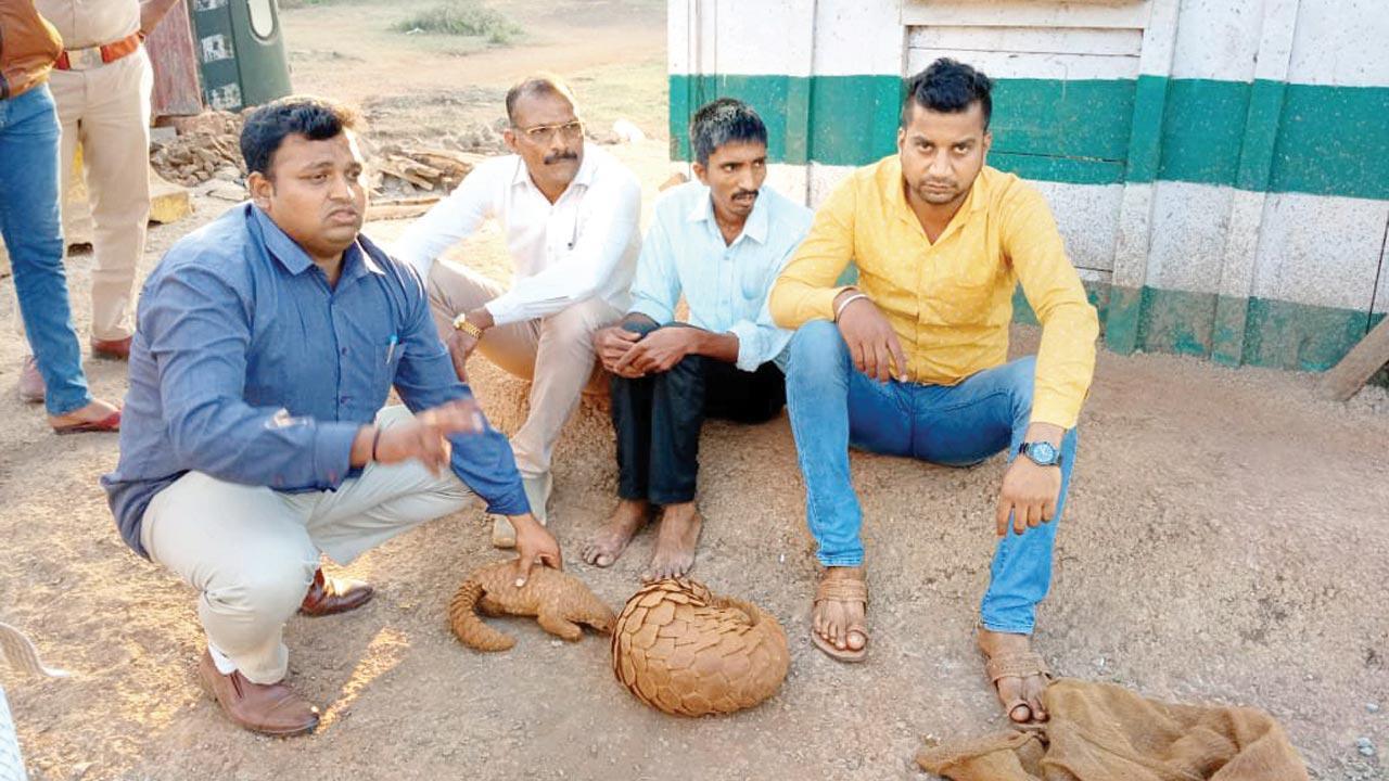 Mumbai: Forest officials rescue pangolin and its pup from traffickers; 3 held
