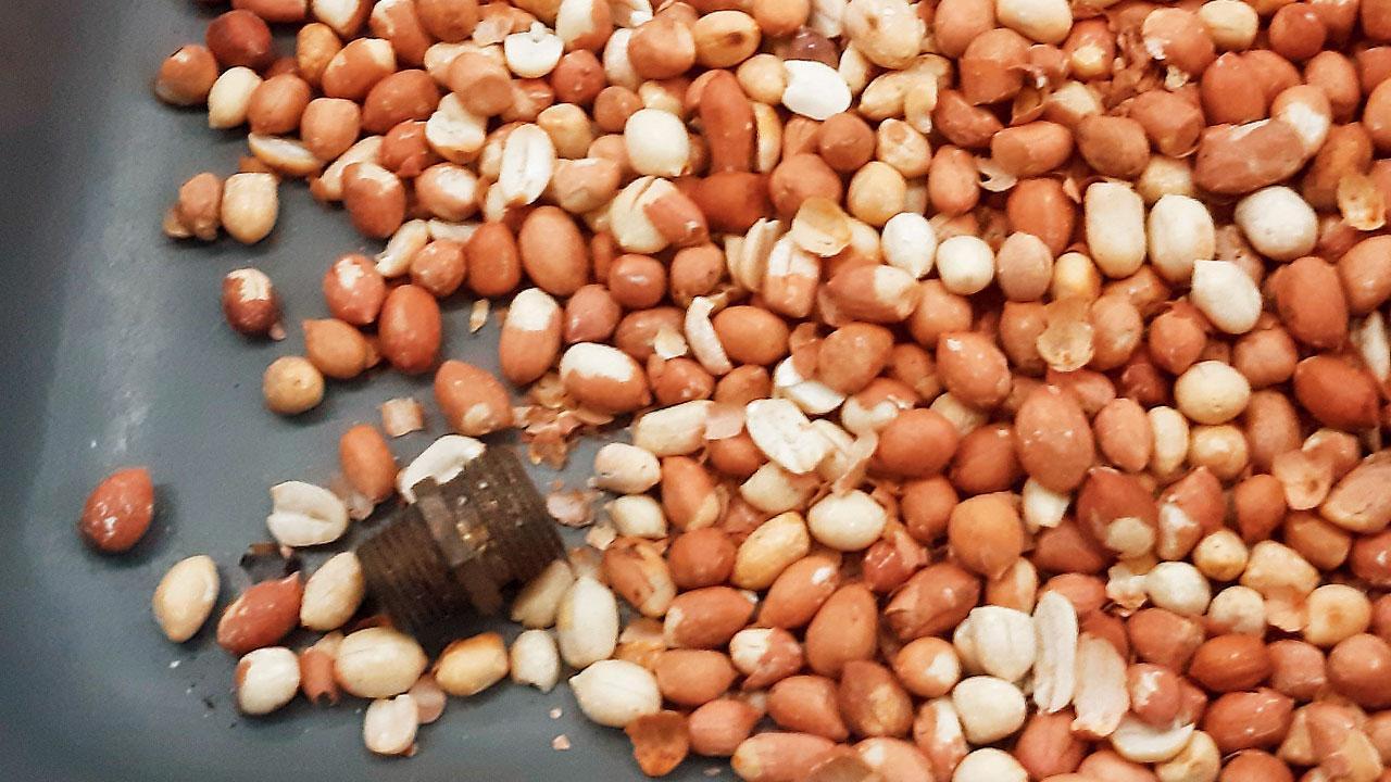 Woman has harrowing time at airport over metal in peanuts pack