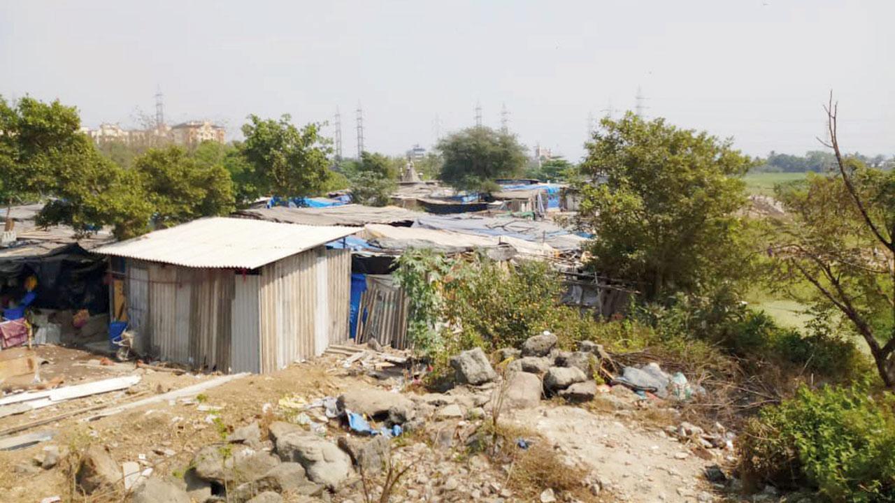 Mumbai: Shanties growing on salt pan land in Bhandup East