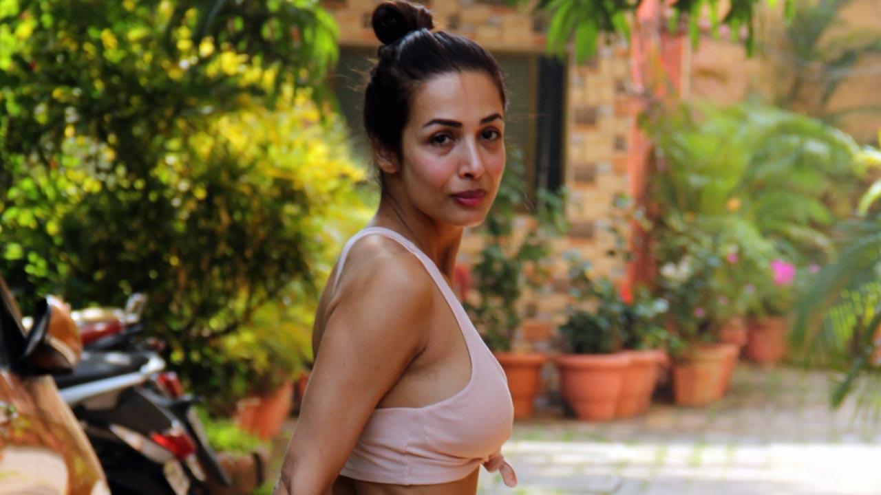 Malaika Arora ups the glam quotient in her latest wild-life pictures; take a look